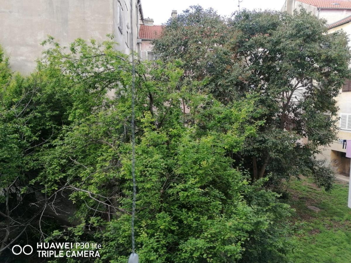 Apartment Linda - Zadar City Center Dış mekan fotoğraf